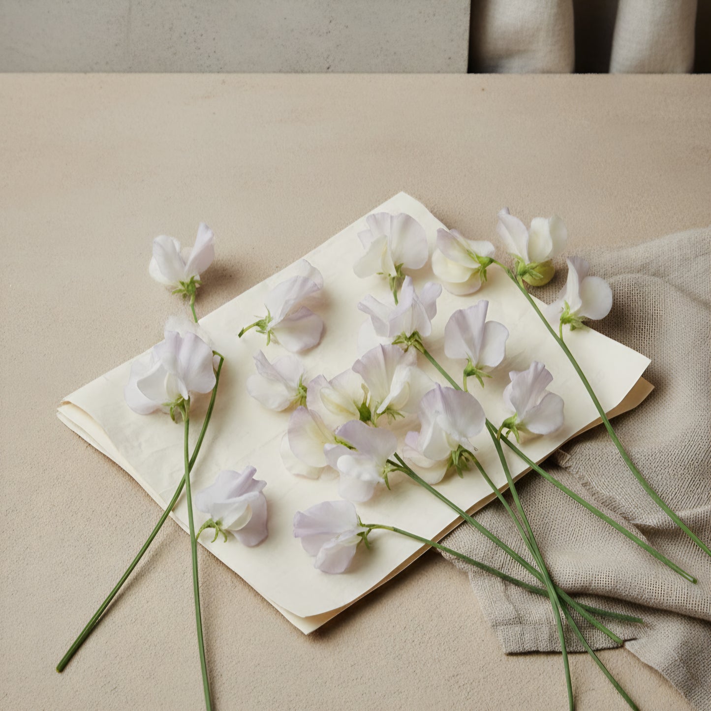 Luktärt 'Spencer Old Times'