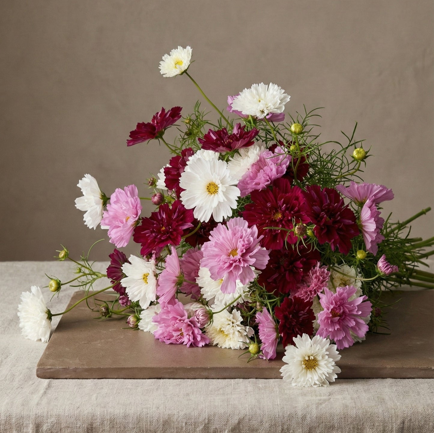 Rosenskära 'Double Click Mix'