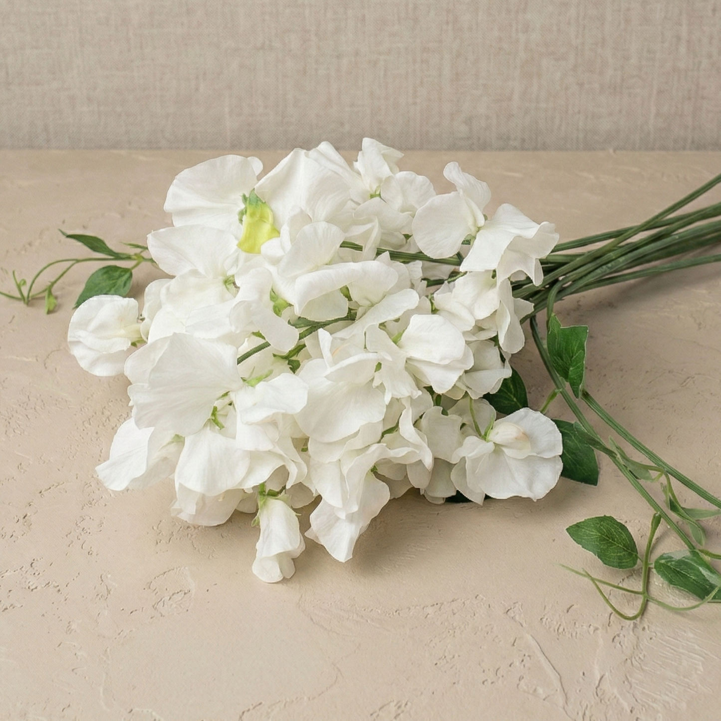 Luktärt 'Spencer Royal Wedding'