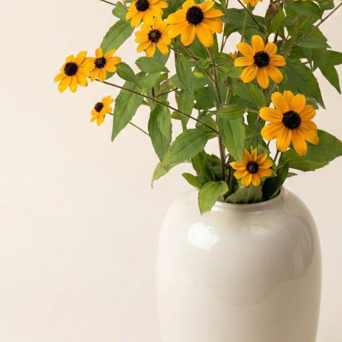 Rudbeckia 'Blackjack Gold' – Fröer för snittblomsodling