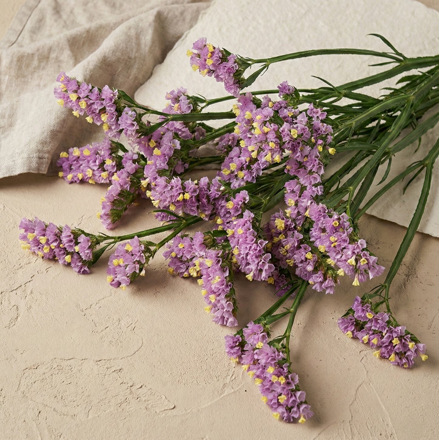 Risp 'Forever Happy'