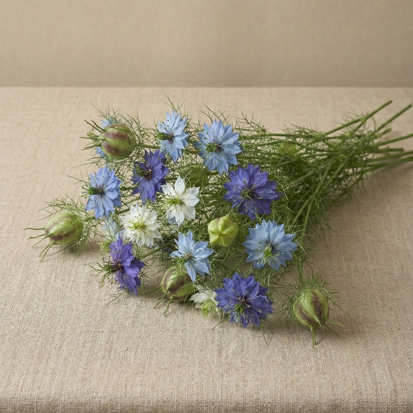 Jungfrun i det gröna 'Persian Jewels Mix'