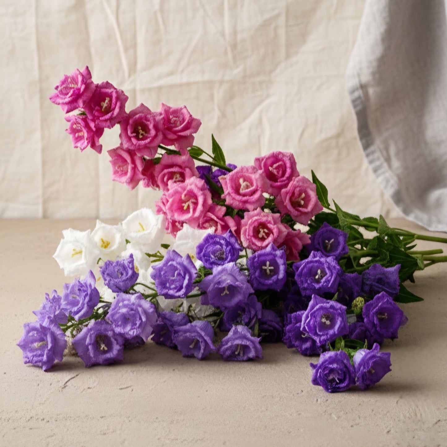 Mariaklocka 'Double Mixed'