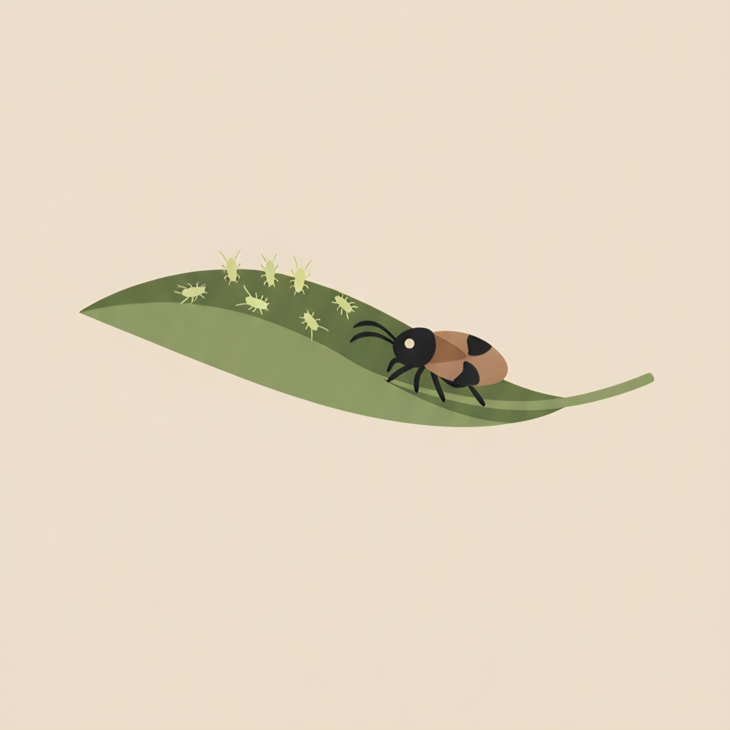 Nyttodjur mot Trips - Oriusbaggar