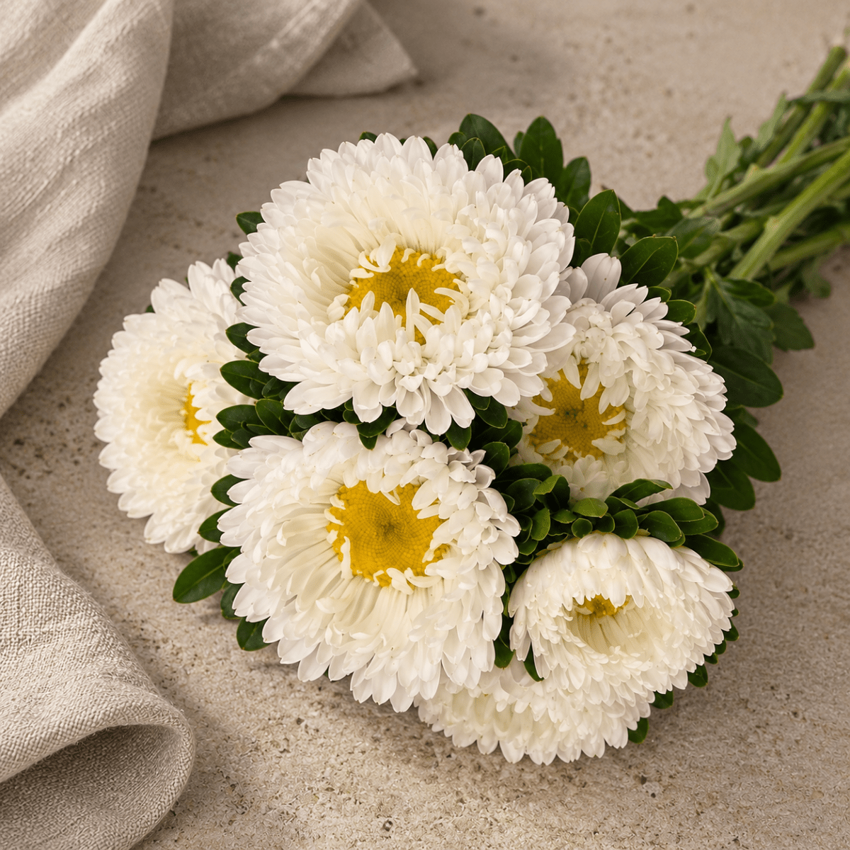 Aster 'Matsumoto White' – Fröer för snittblomsodling