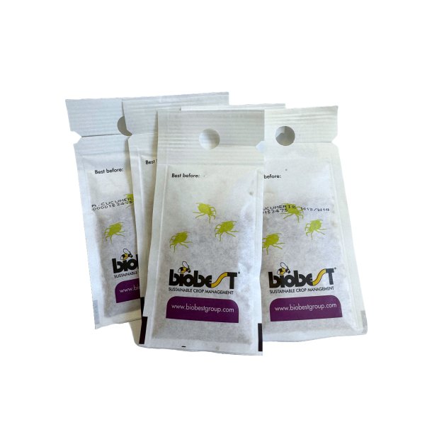 Nyttodjur mot Trips - Tripsrovkvalster i smidig påse