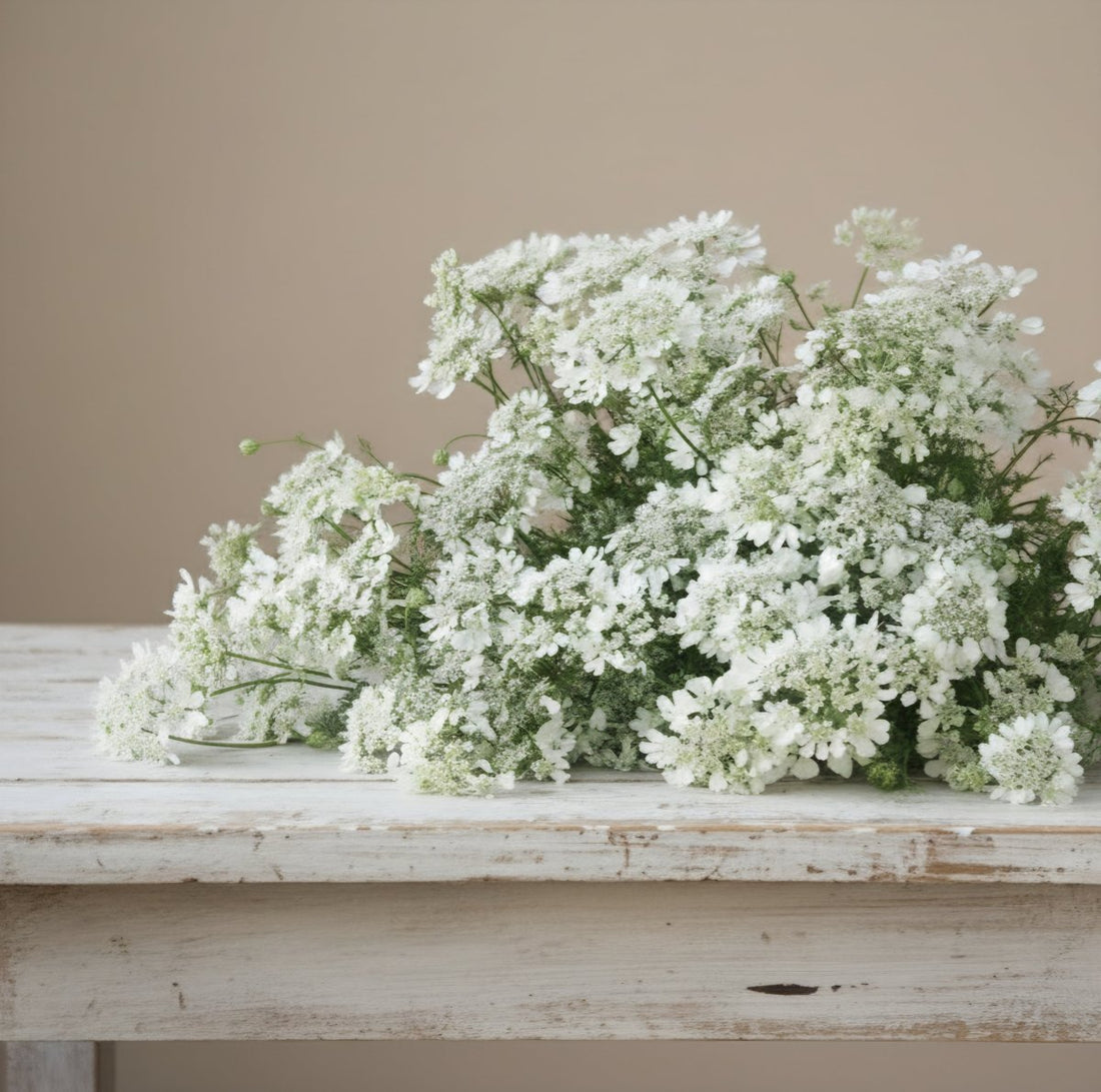 Höstsådd: så sår du så att fröna väntar till våren - snittblomsfolk