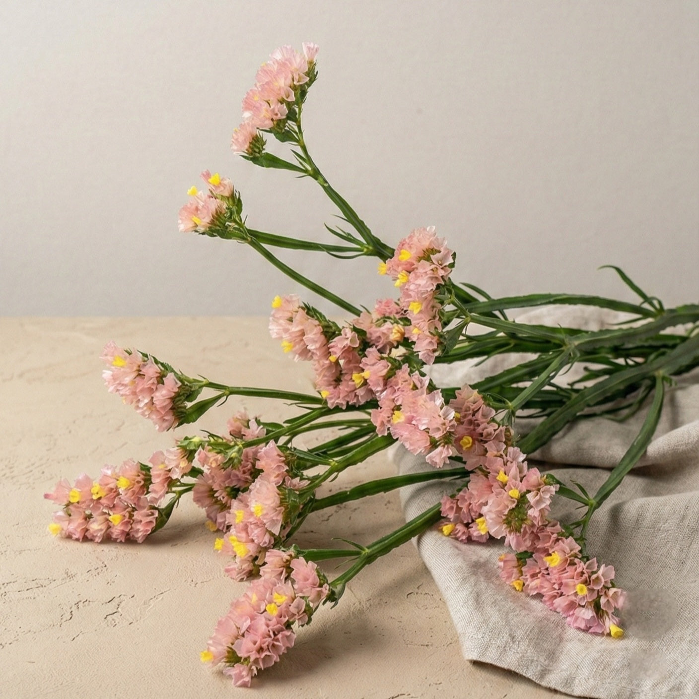 Risp 'Apricot' – Pluggplanta 3 st