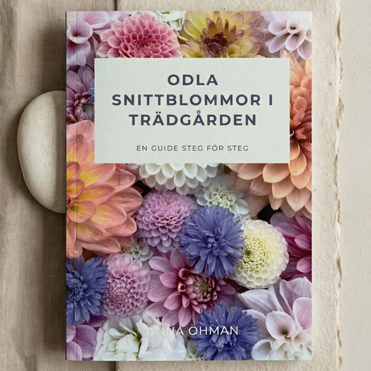 Odla Snittblommor i Trädgården av Anna Öhman - Bok