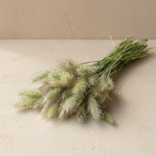 Dunborstgräs 'Fluffy'