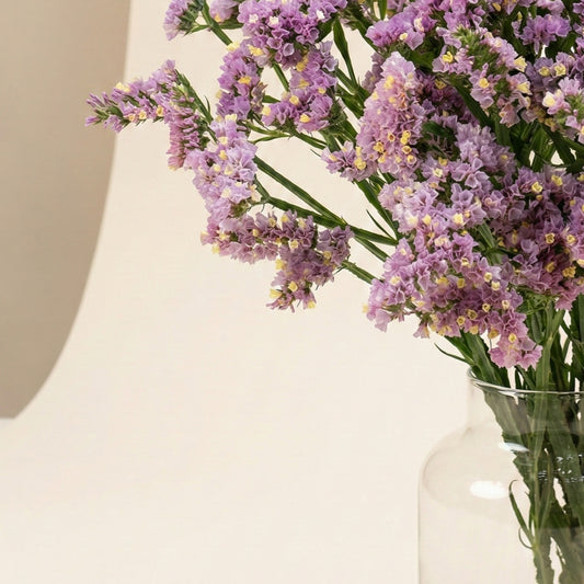 Risp 'Forever Happy'