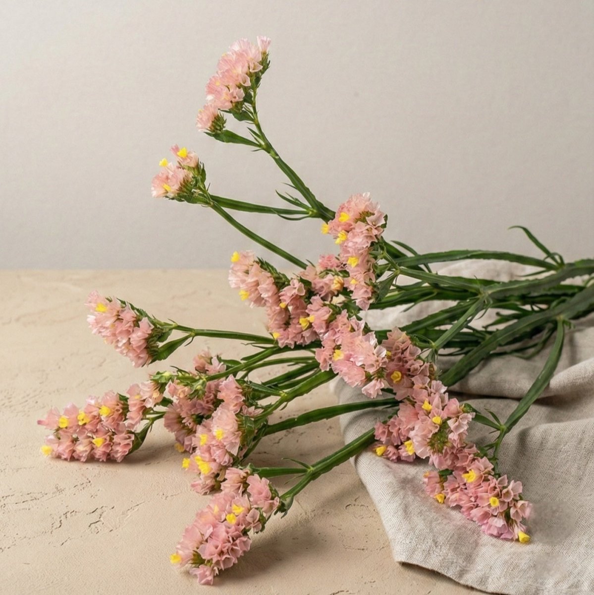Risp 'QIS Apricot' – Fröer för snittblomsodling