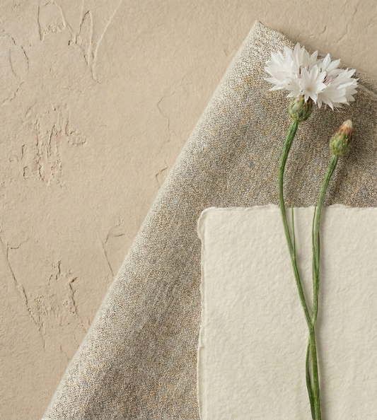 Blåklint 'White Ball'