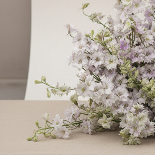 Riddarsporre 'Fancy Smokey Eyes'