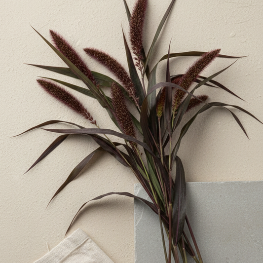 Kolvhirs 'Red Jewel'