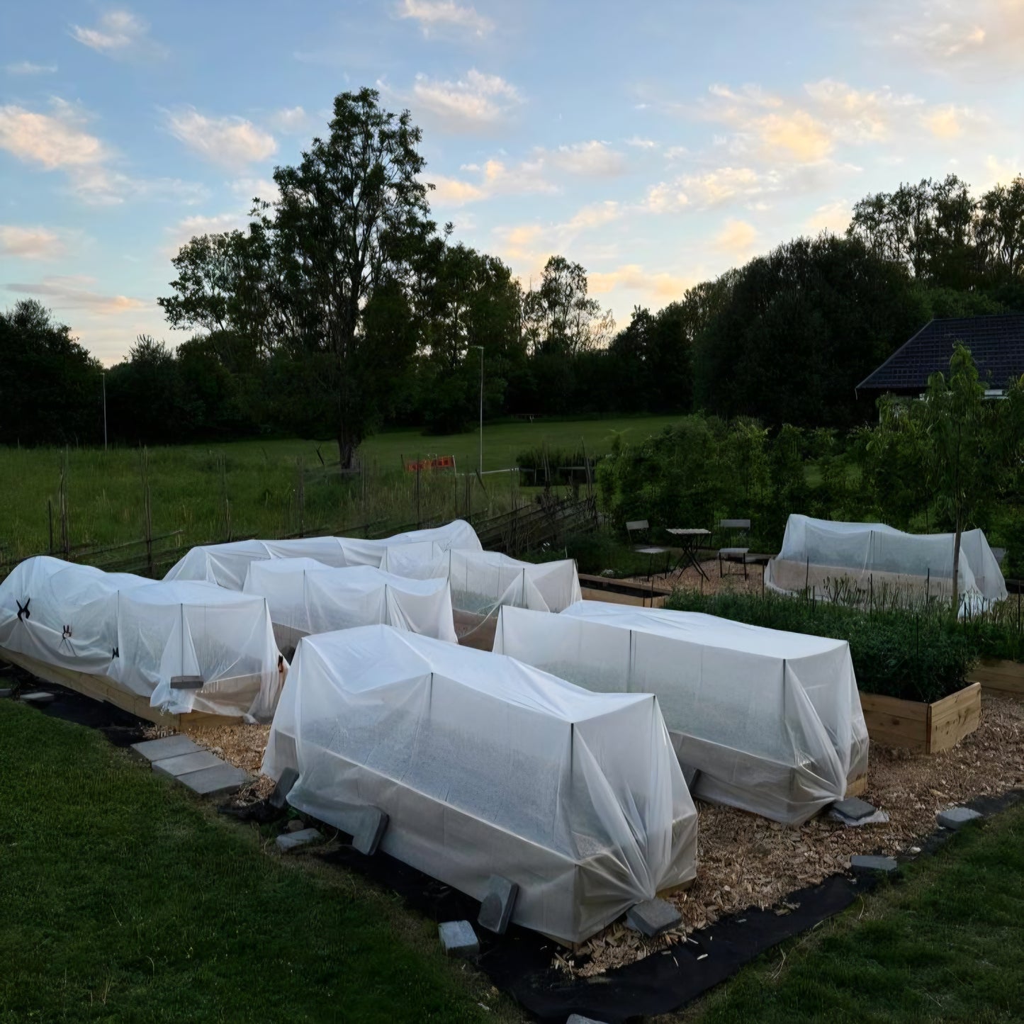 Fiberduk för snittblomsodling